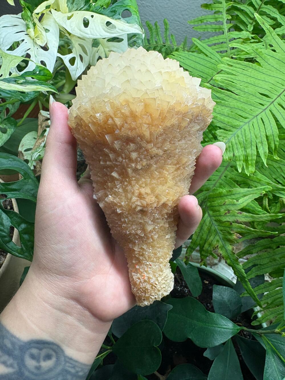Cave Calcite “Snow Cone” Stalactite Specimen – China